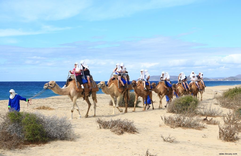 Die 3 besten Strandabenteuer in Cabo 