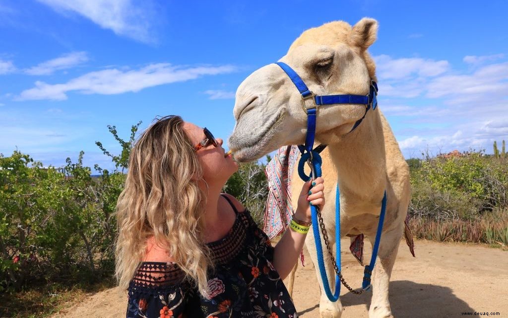 Die 3 besten Strandabenteuer in Cabo 