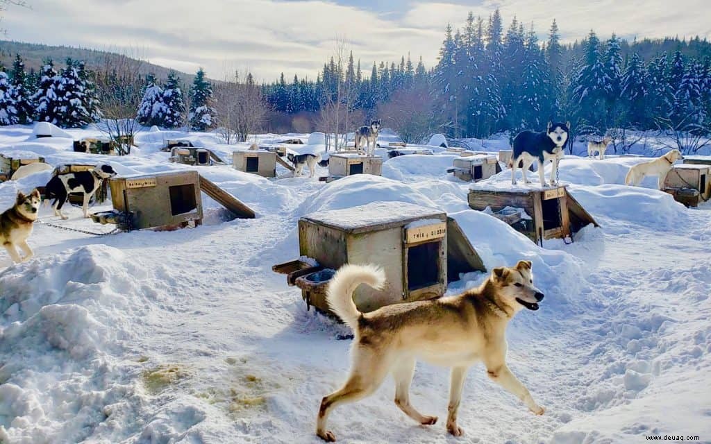 10 Fotos, die beweisen, dass Quebec City ein Winterwunderland ist 