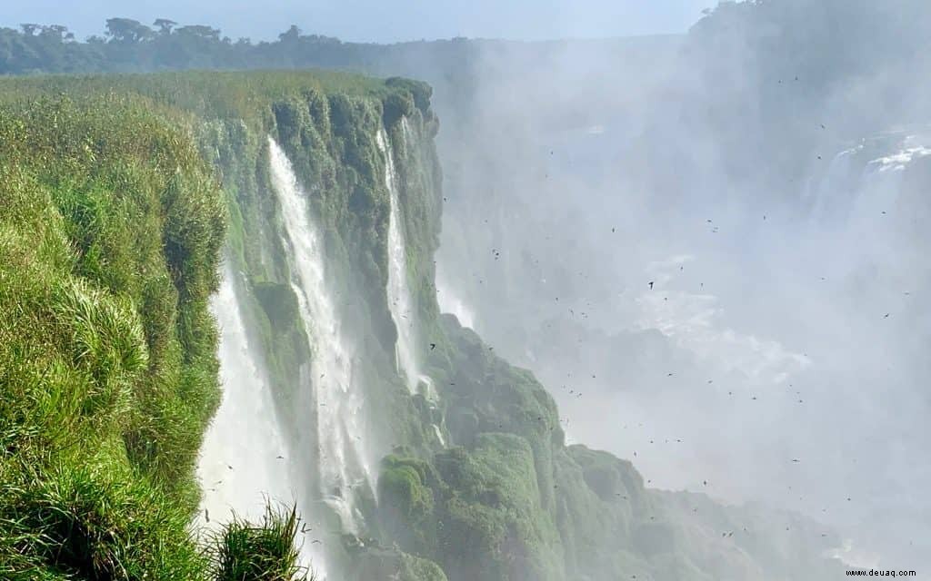 Aus diesem Grund zählen die argentinischen Iguazu-Wasserfälle zu den schönsten der Welt 