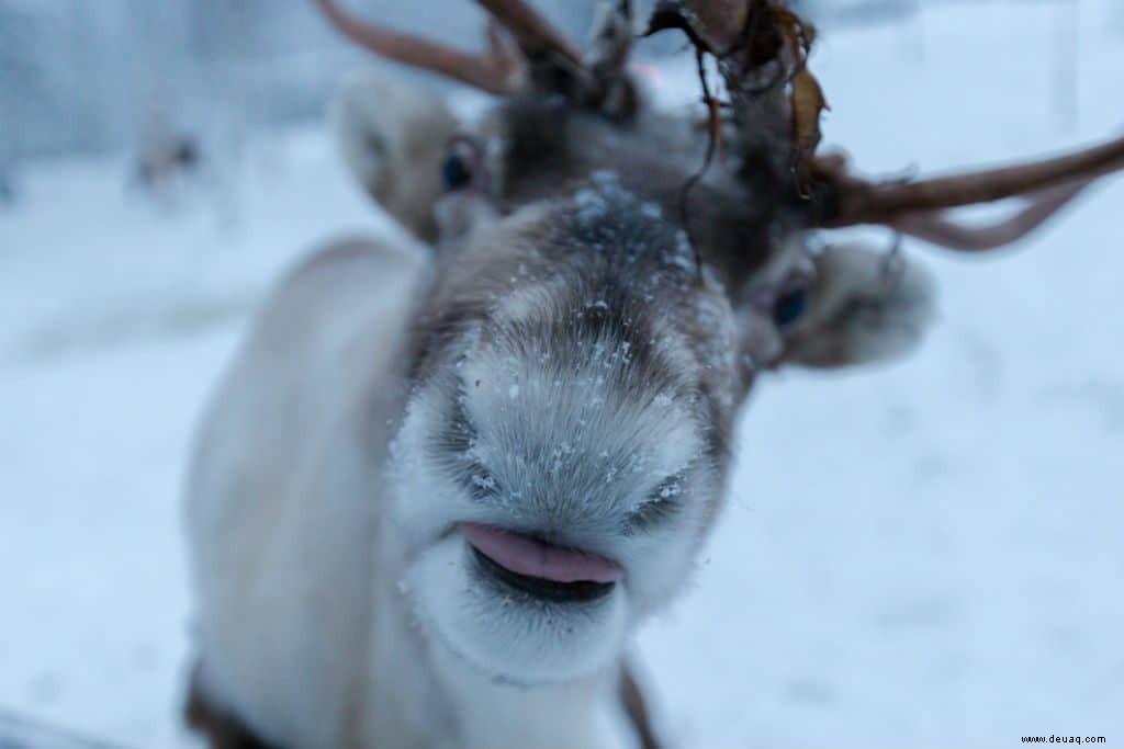 So verbringen Sie eine perfekte Woche in Alaska 