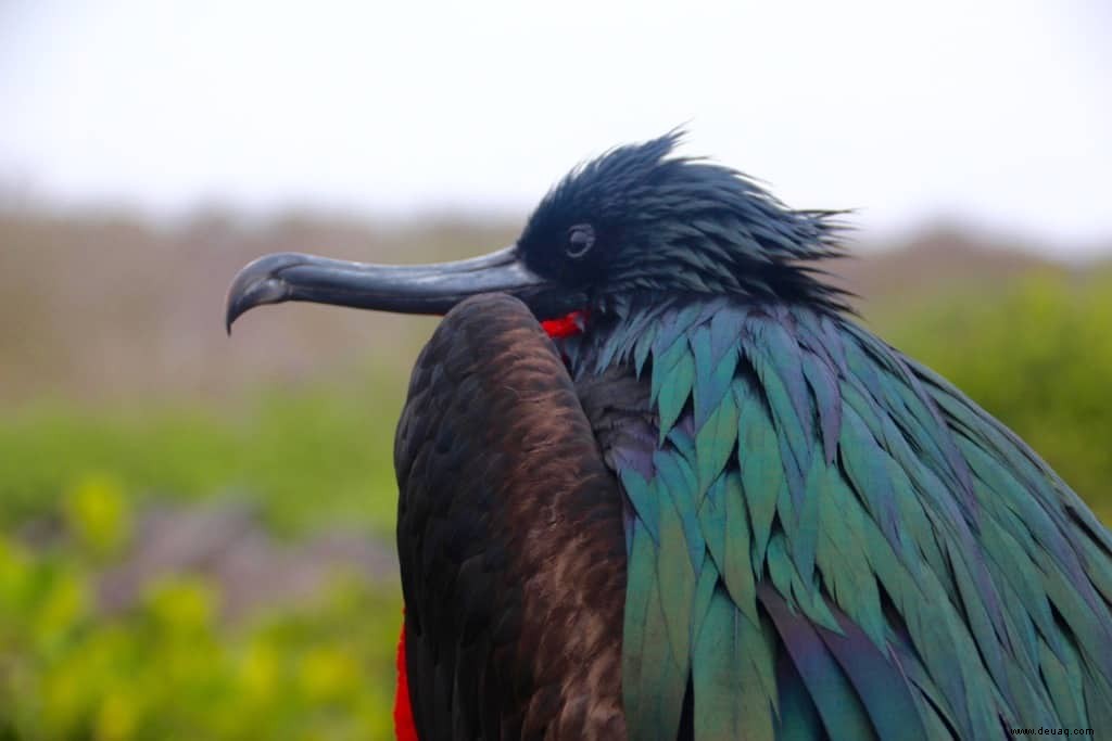 6 erstaunliche Ziele, die Sie zur Feier des National Wildlife Day besuchen sollten 