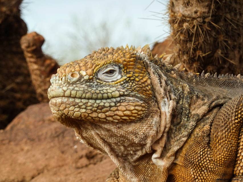 6 erstaunliche Ziele, die Sie zur Feier des National Wildlife Day besuchen sollten 