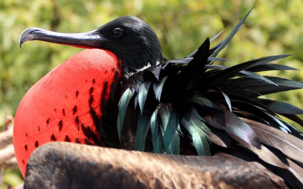 6 erstaunliche Ziele, die Sie zur Feier des National Wildlife Day besuchen sollten 