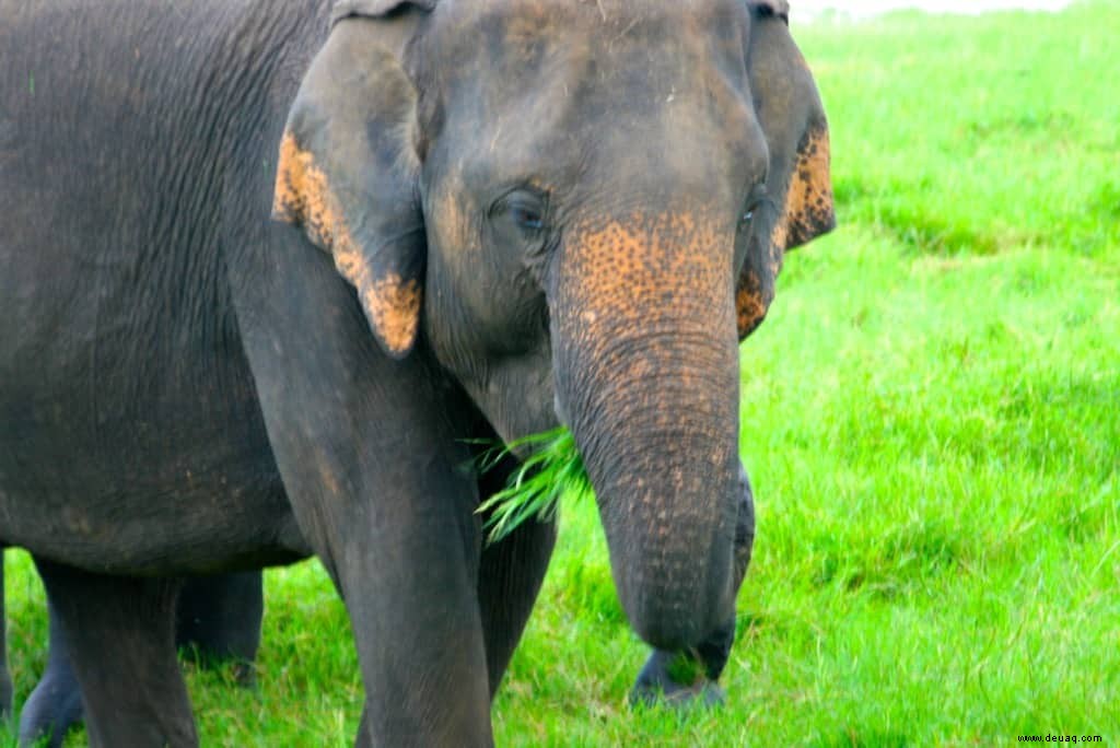 6 erstaunliche Ziele, die Sie zur Feier des National Wildlife Day besuchen sollten 