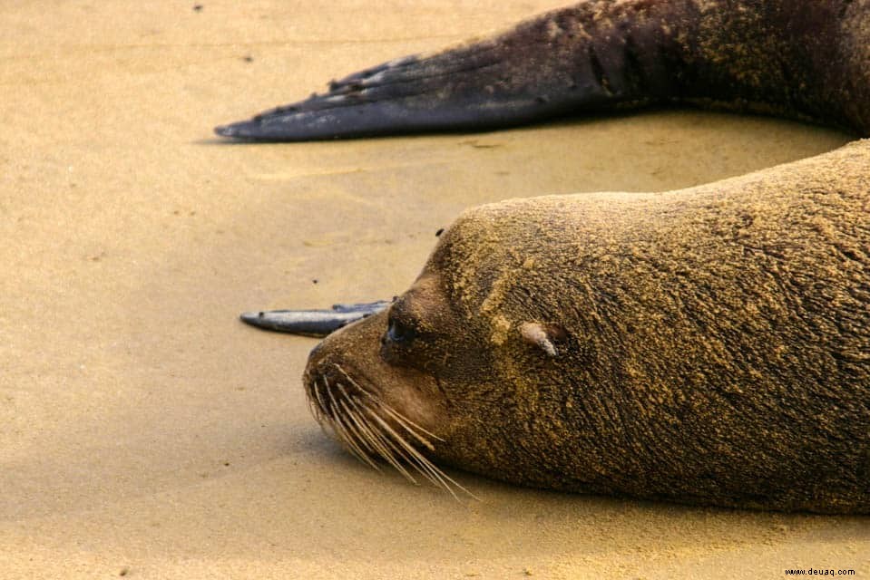 6 erstaunliche Ziele, die Sie zur Feier des National Wildlife Day besuchen sollten 