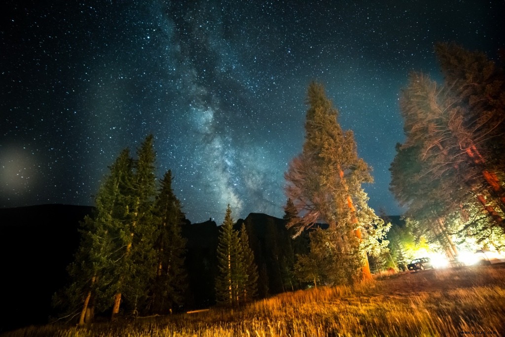 Diese Attraktionen sind der Grund, warum Nevada ein Paradies für Roadtripper ist 