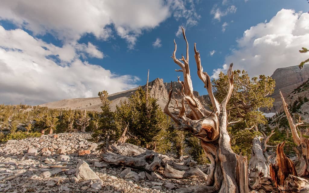 Amerikas 12 am wenigsten besuchte Nationalparks 