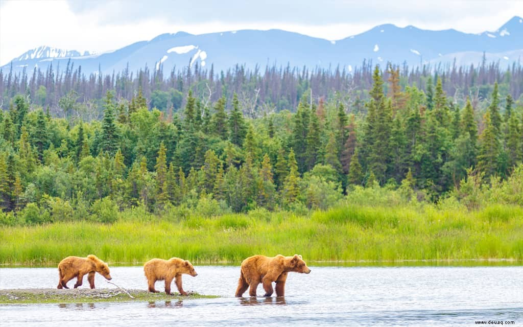 Amerikas 12 am wenigsten besuchte Nationalparks 