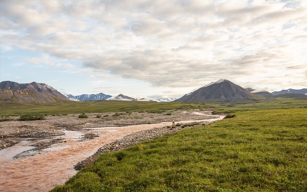 Amerikas 12 am wenigsten besuchte Nationalparks 