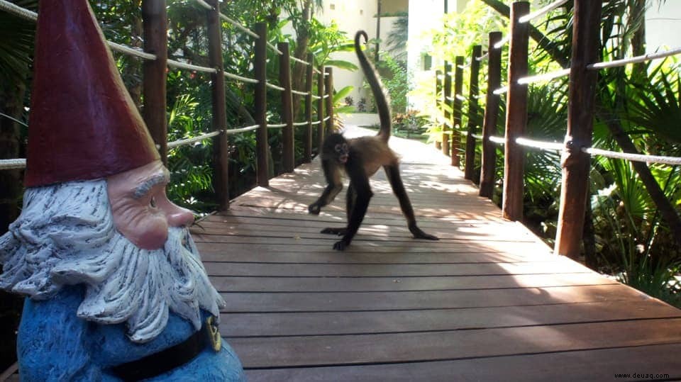 Der Roaming Gnome reist nach Occidental am Zielort Xcaret 