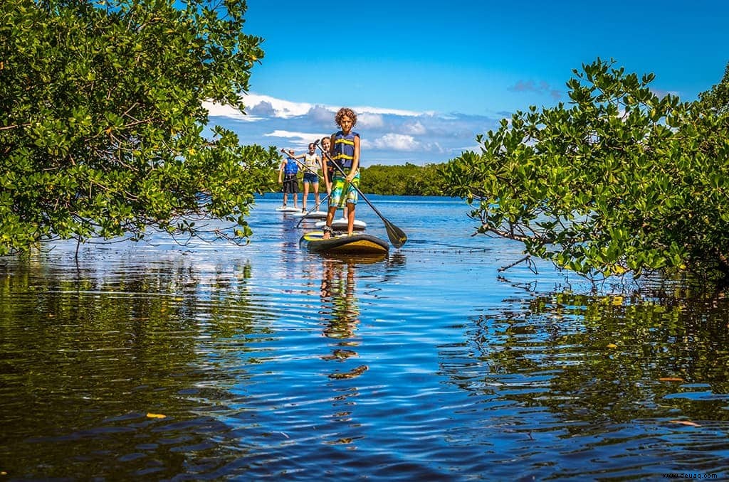 Sonne, Sand &Muscheln:Roaming Gnome besucht Südwestflorida 