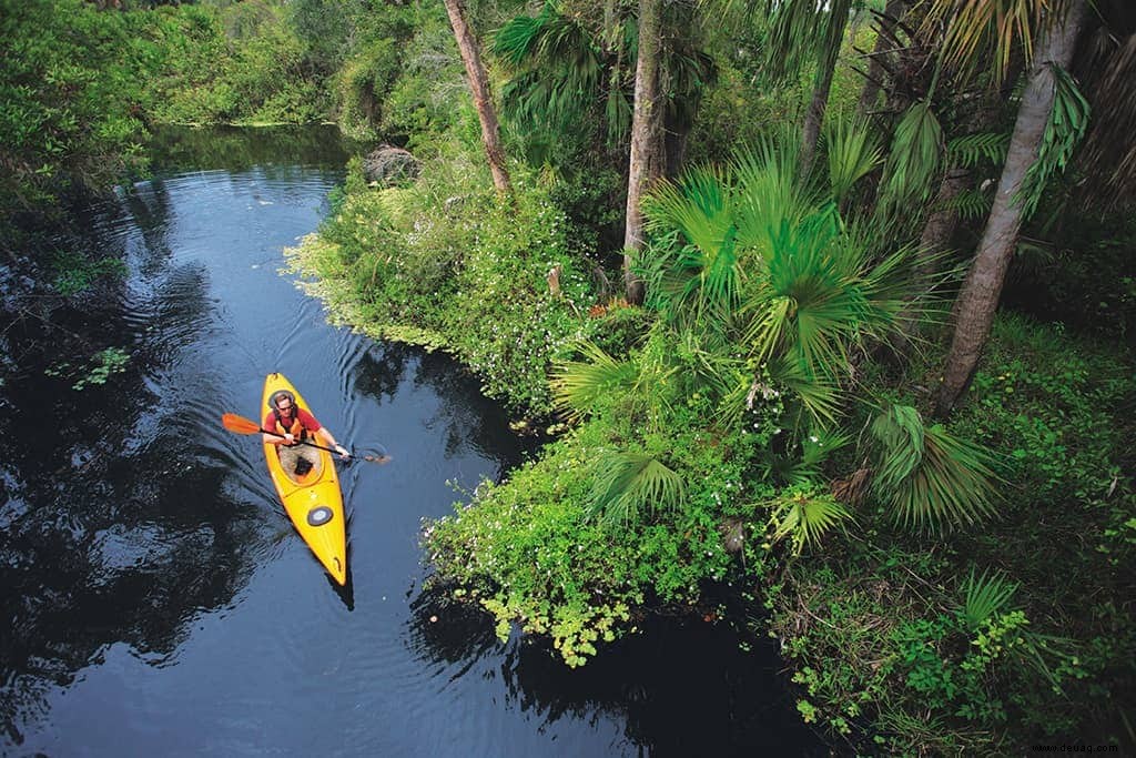 Sonne, Sand &Muscheln:Roaming Gnome besucht Südwestflorida 