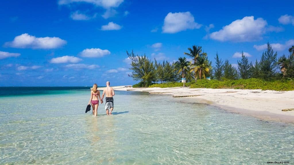 Der Good Life Guide für Grand Cayman 