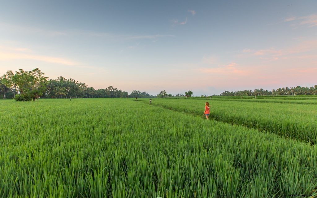 So verbringen Sie einen fantastischen Urlaub auf Bali 