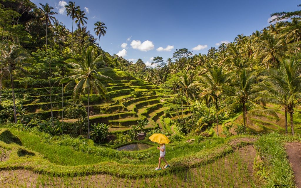 So verbringen Sie einen fantastischen Urlaub auf Bali 