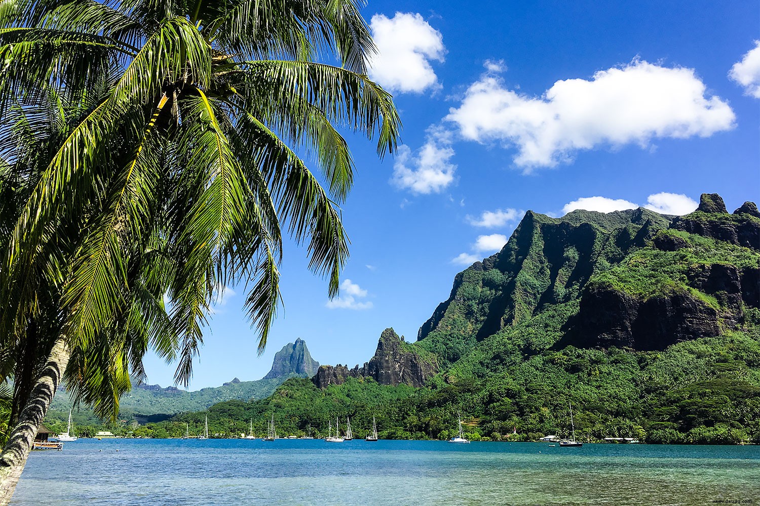 8 Gründe, warum Tahiti das Paradies auf Erden ist 