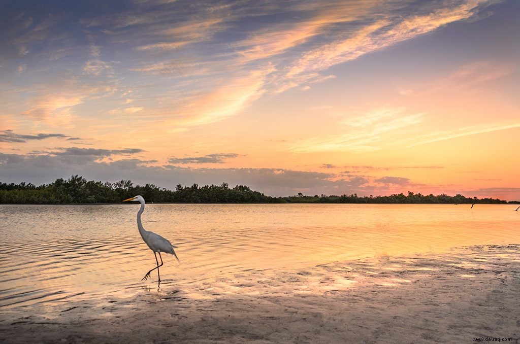 Naples und Marco Island:Juwelen der Golfküste Floridas 