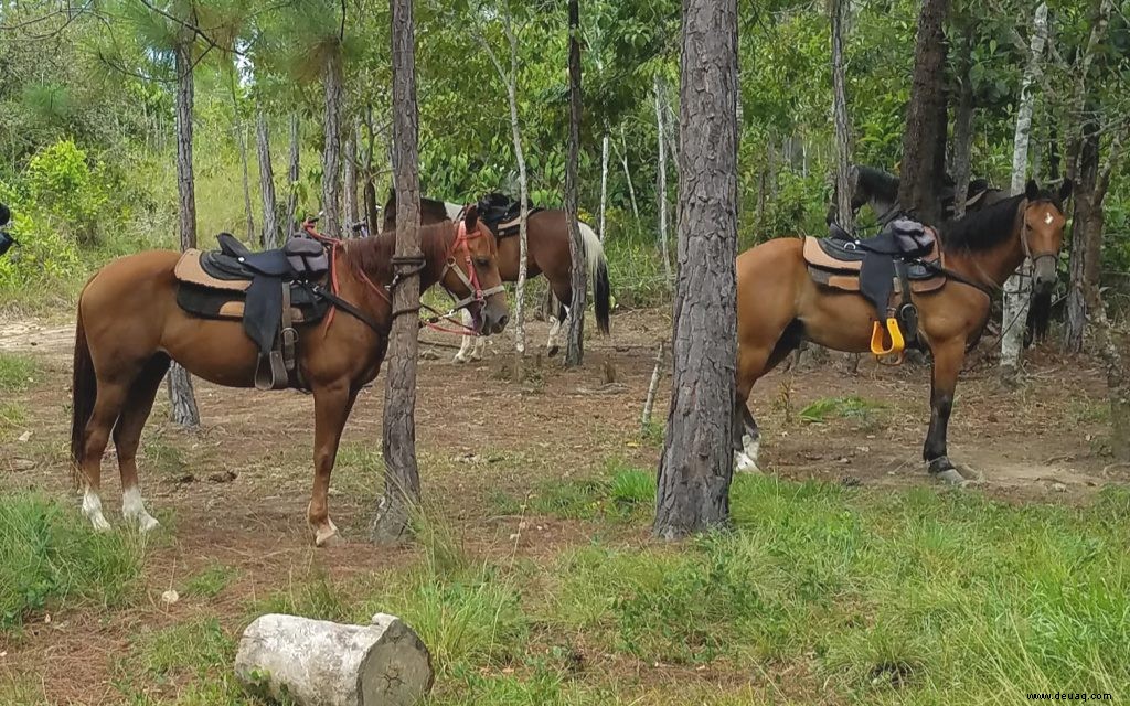 12 Aktivitäten in einem Belize-Urlaub 