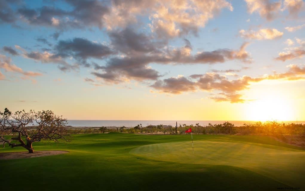 Vollständiger Leitfaden zu Cabo Golf Courses 