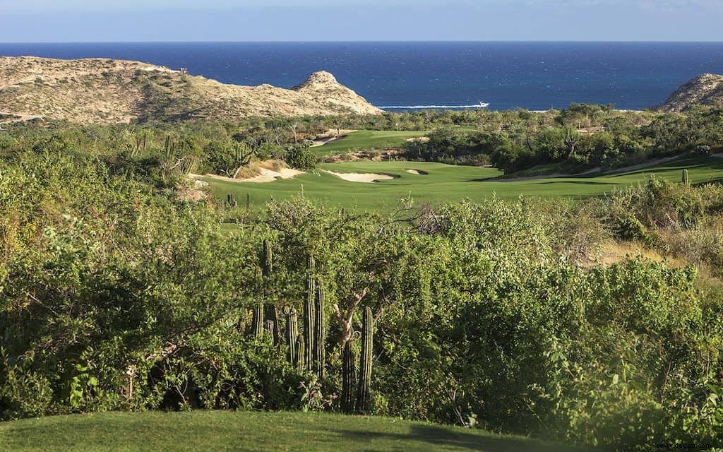 Vollständiger Leitfaden zu Cabo Golf Courses 
