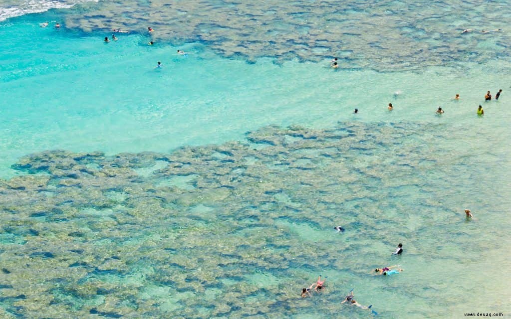 6 Möglichkeiten, für das Gute in Hawaii zu reisen (und gleichzeitig die Zeit Ihres Lebens zu haben) 