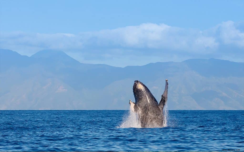 6 Möglichkeiten, für das Gute in Hawaii zu reisen (und gleichzeitig die Zeit Ihres Lebens zu haben) 