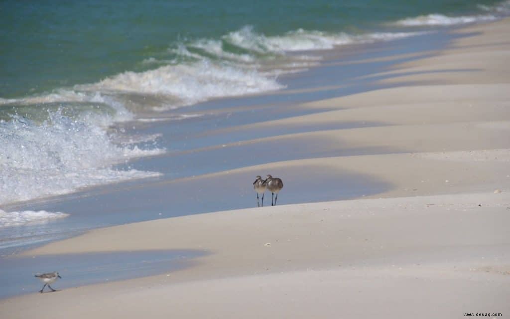 Die besten Strandhotels und Sehenswürdigkeiten in Panama City 