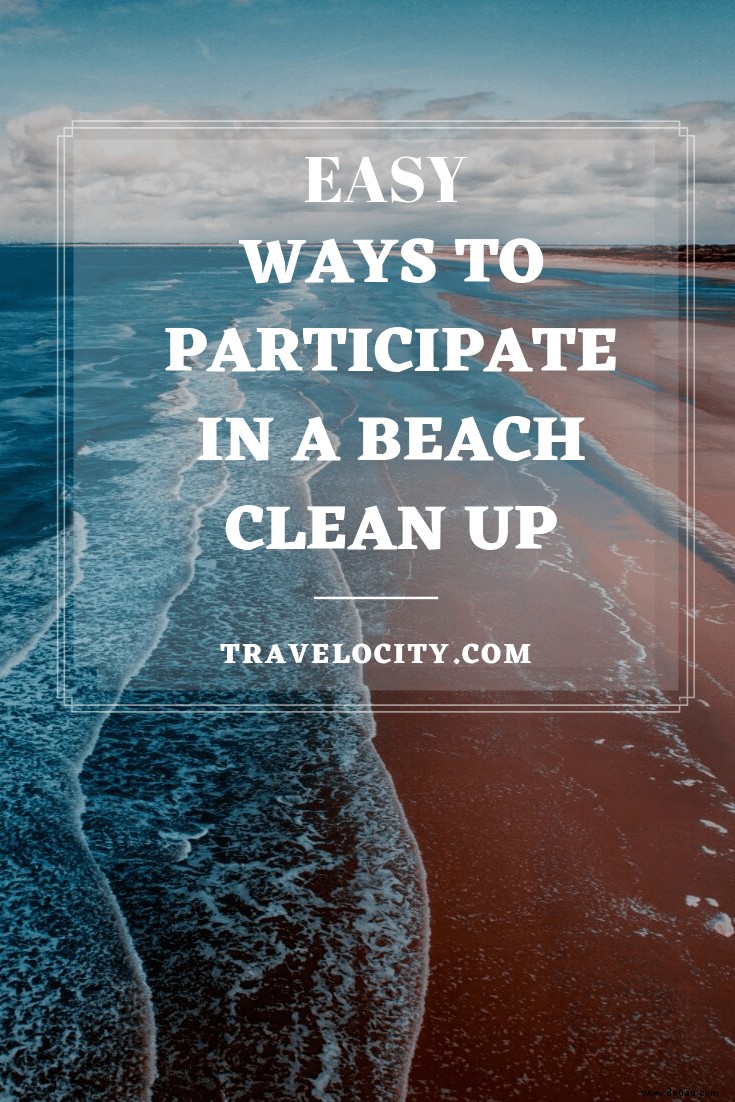 6 einfache Möglichkeiten, an einer Strandreinigung teilzunehmen 