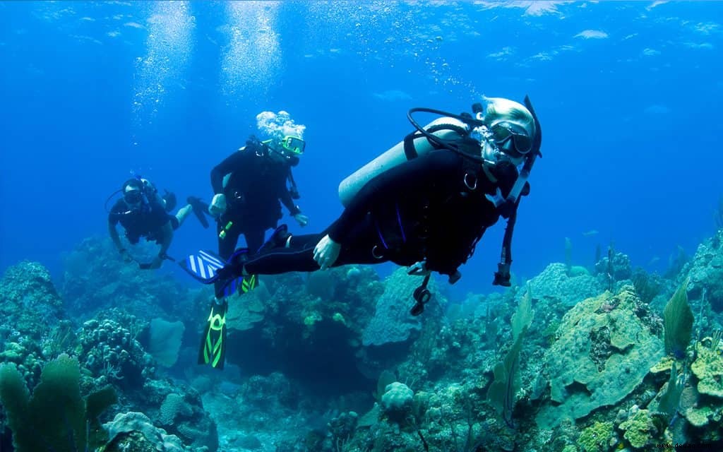 Die beste bahamaische Insel für jeden Persönlichkeitstyp 