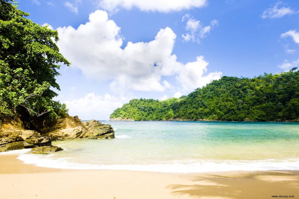Welche Seite dieses karibischen Paradieses ist für Sie – Trinidad oder Tobago? 