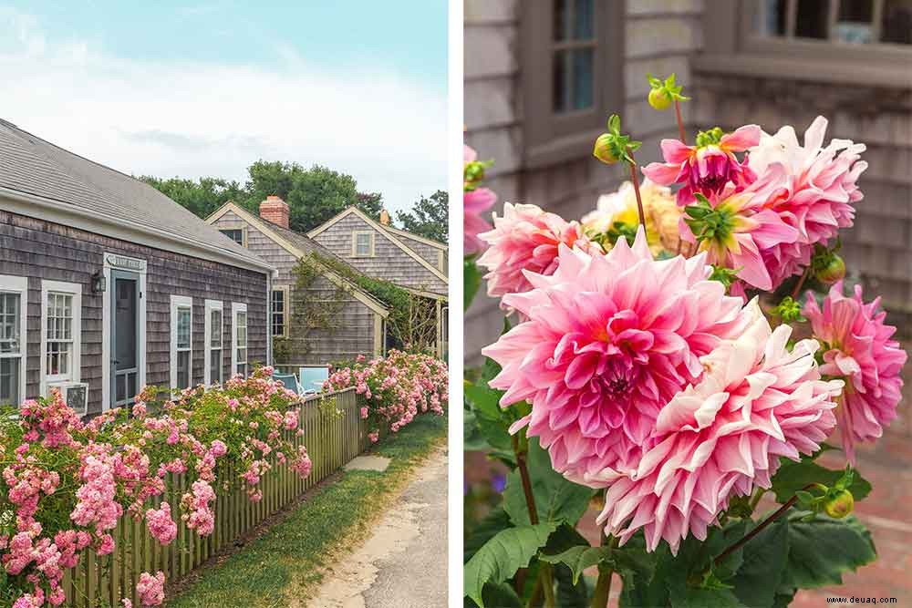 5 schöne Dinge, die man auf Nantucket Island unternehmen kann 