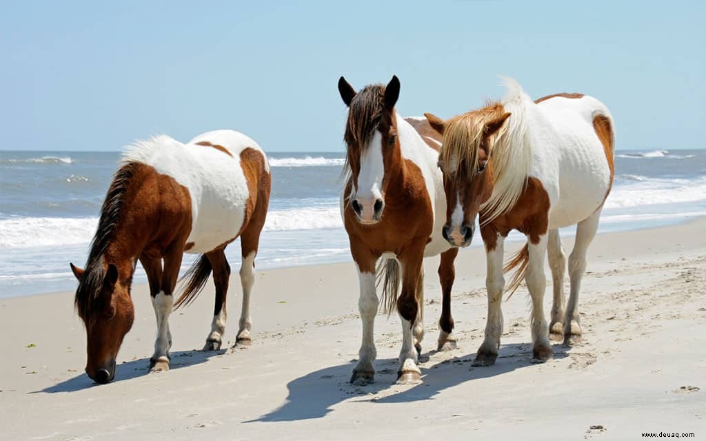 2020 Beach Awards:Die besten Strände Amerikas 