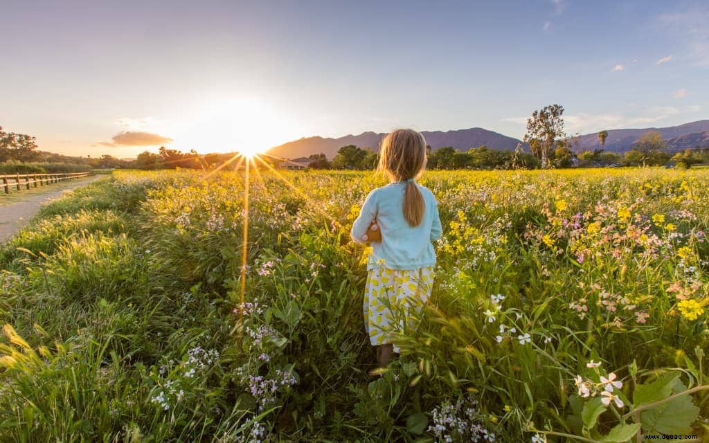 Ein kinderfreundlicher Kurzurlaub in Ojai 