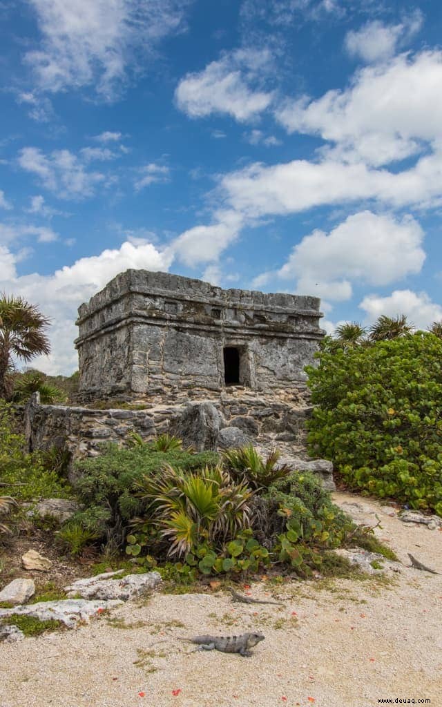 Kinderfreundliches Mexiko – Occidental bei Xcaret Destination 