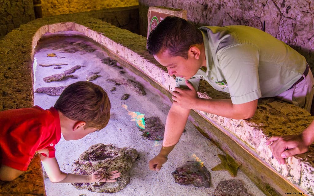 Kinderfreundliches Mexiko – Occidental bei Xcaret Destination 