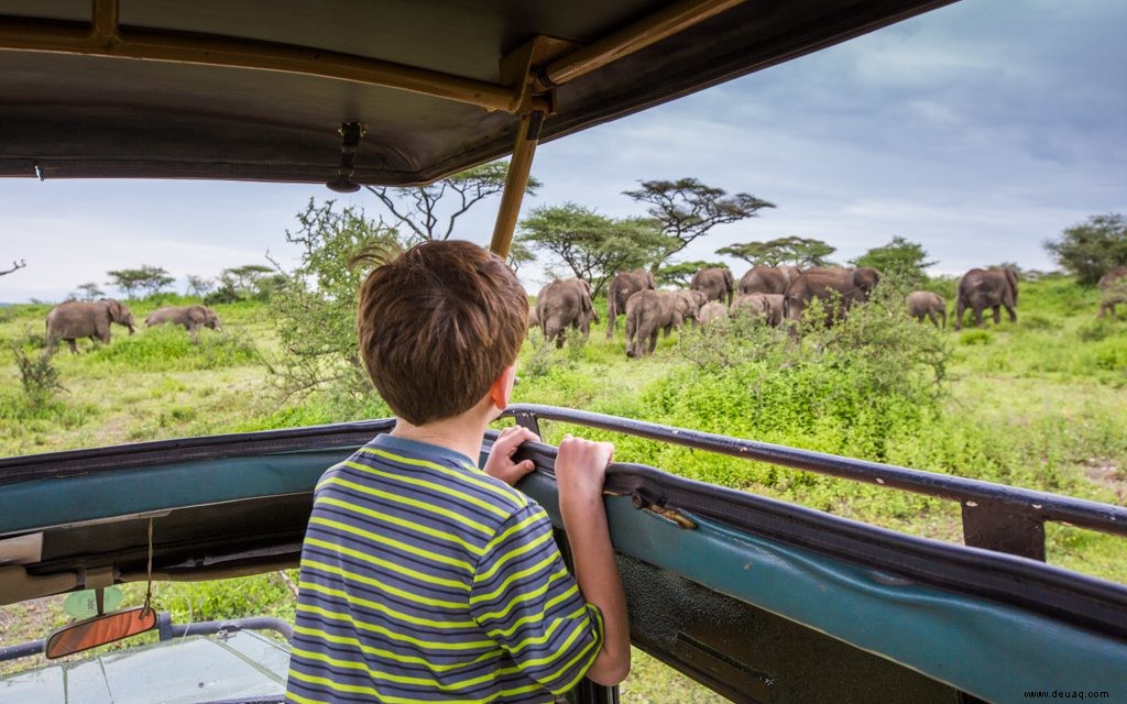 Fünf Tipps, wie Sie Ihre Kinder auf Safari mitnehmen können 