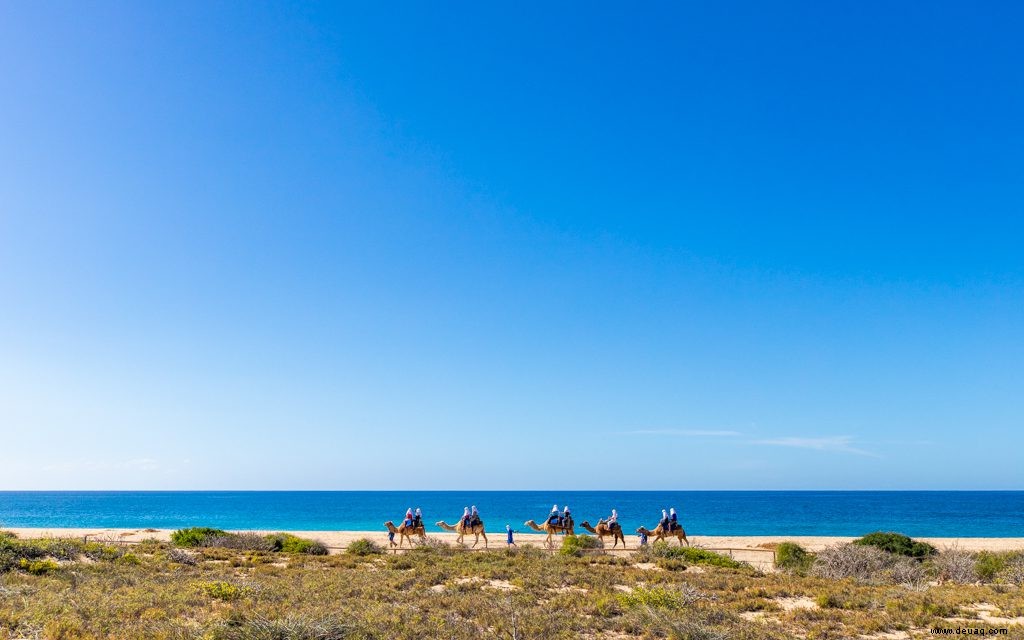 Drei kinderfreundliche Tage in Los Cabos 