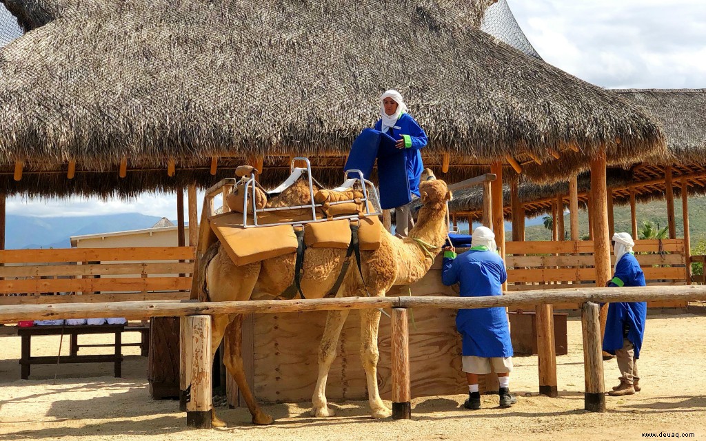 3 familienfreundliche Wege, um in Los Cabos Abenteuer zu erleben 