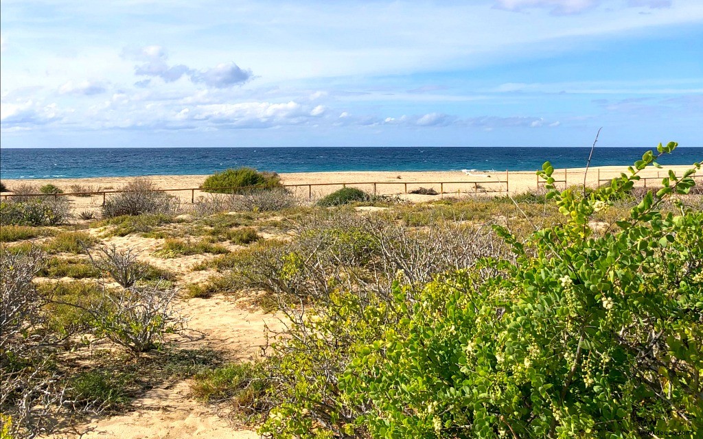 3 familienfreundliche Wege, um in Los Cabos Abenteuer zu erleben 