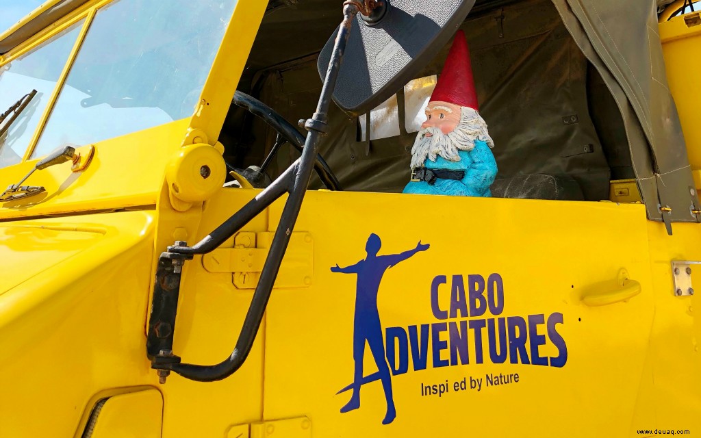 3 familienfreundliche Wege, um in Los Cabos Abenteuer zu erleben 