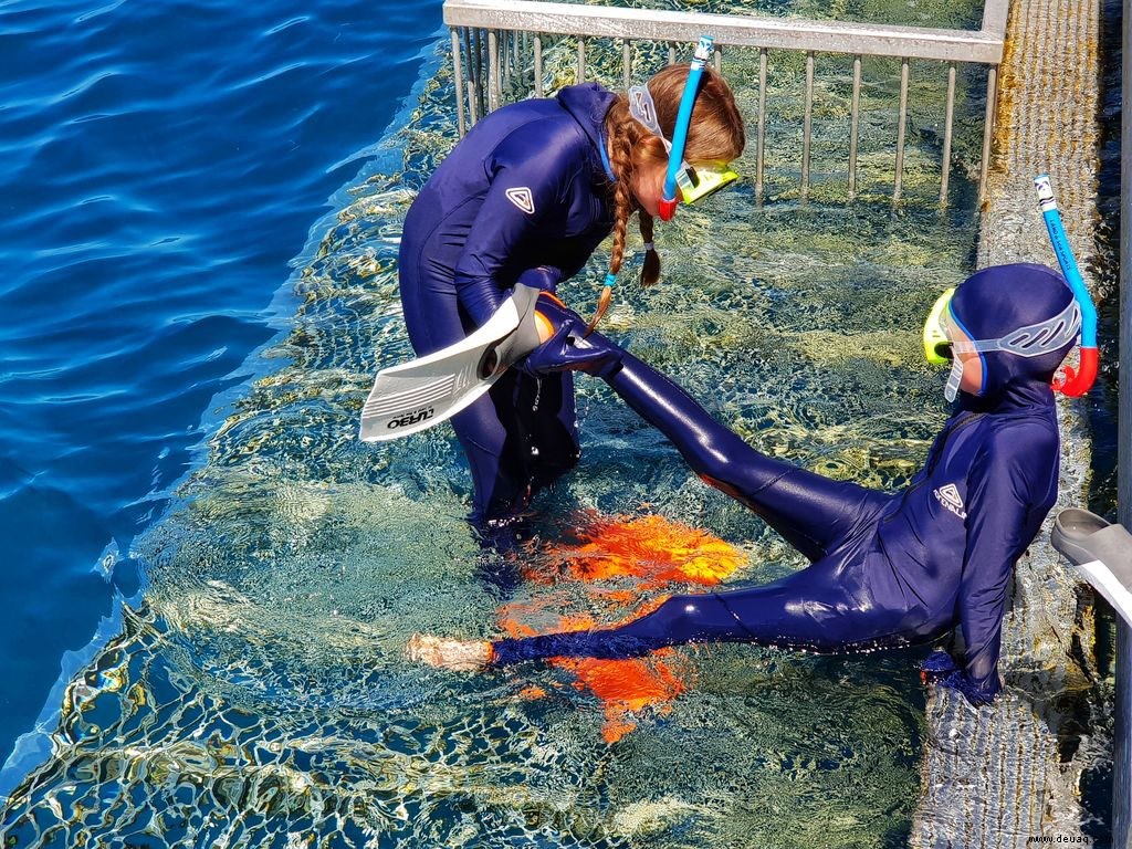 Wie man das Great Barrier Reef mit Kindern erlebt 