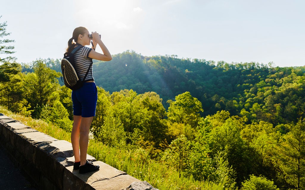 10 Bucket-List-Roadtrips, die Sie mit Ihrer Familie unternehmen können 