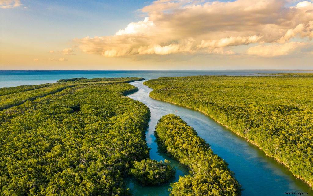 10 Bucket-List-Roadtrips, die Sie mit Ihrer Familie unternehmen können 