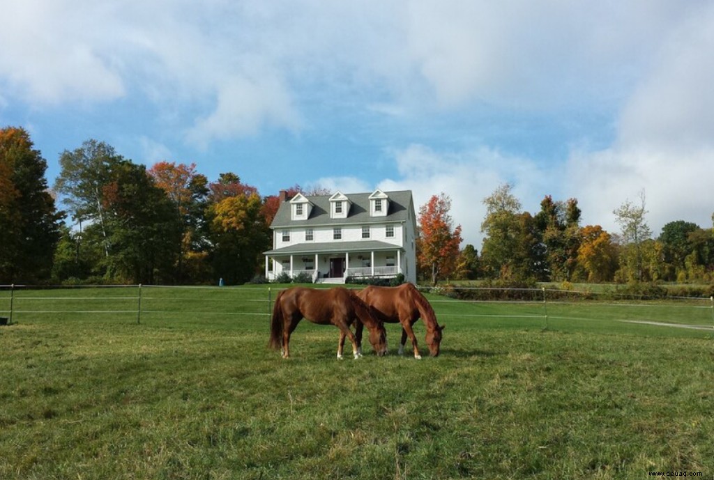 7 Farm Stays zum Einchecken 