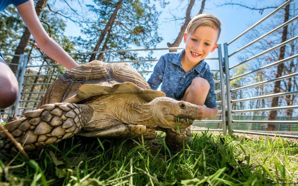 Die 10 besten Aktivitäten für Familien in Branson, Missouri 