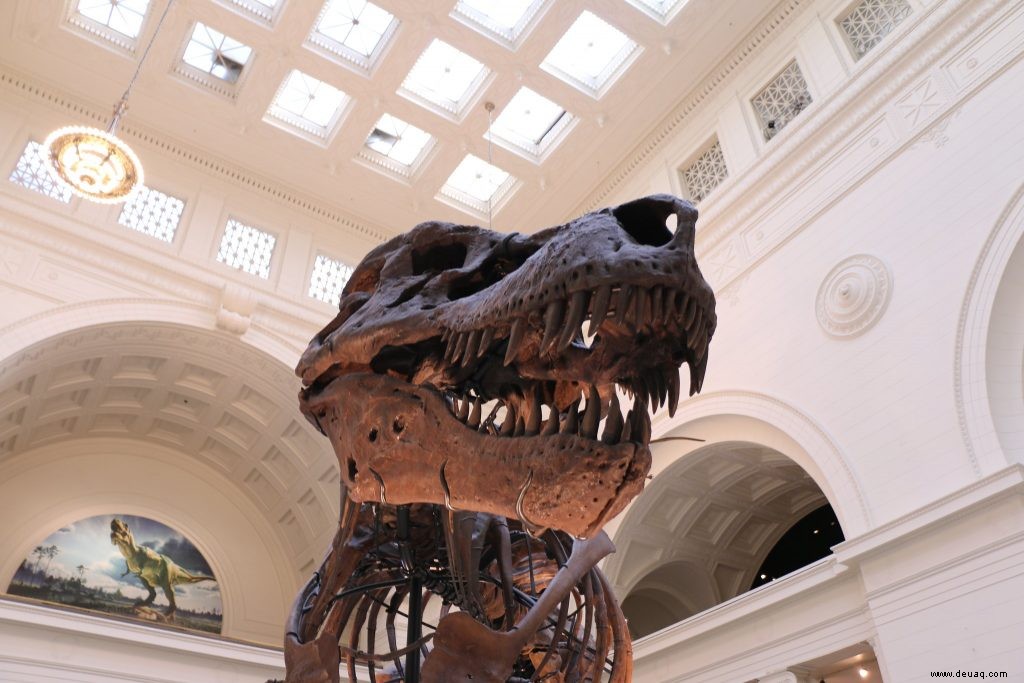 Tauchen Sie an diesen 8 Reisezielen in das Dinosaurier-Fandom ein 