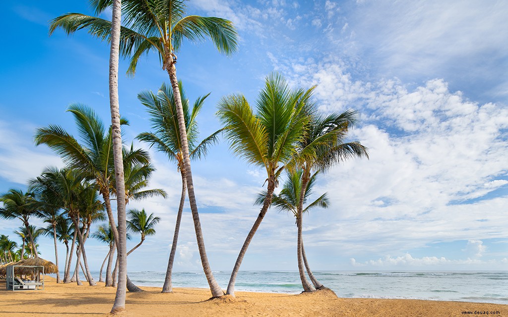 11 Gründe, dieses Resort in Punta Cana zu Ihrem nächsten Familienurlaub zu machen 