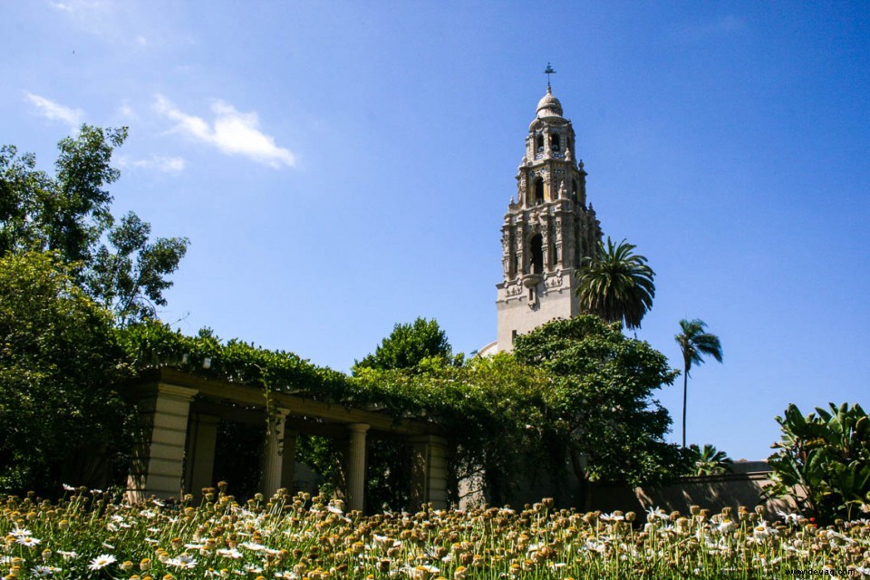 Romance Blossoms in San Diego 