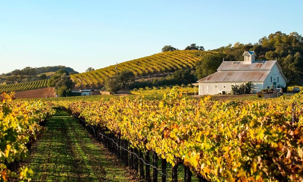 Ein Leitfaden für Liebhaber durch Napa Valley 